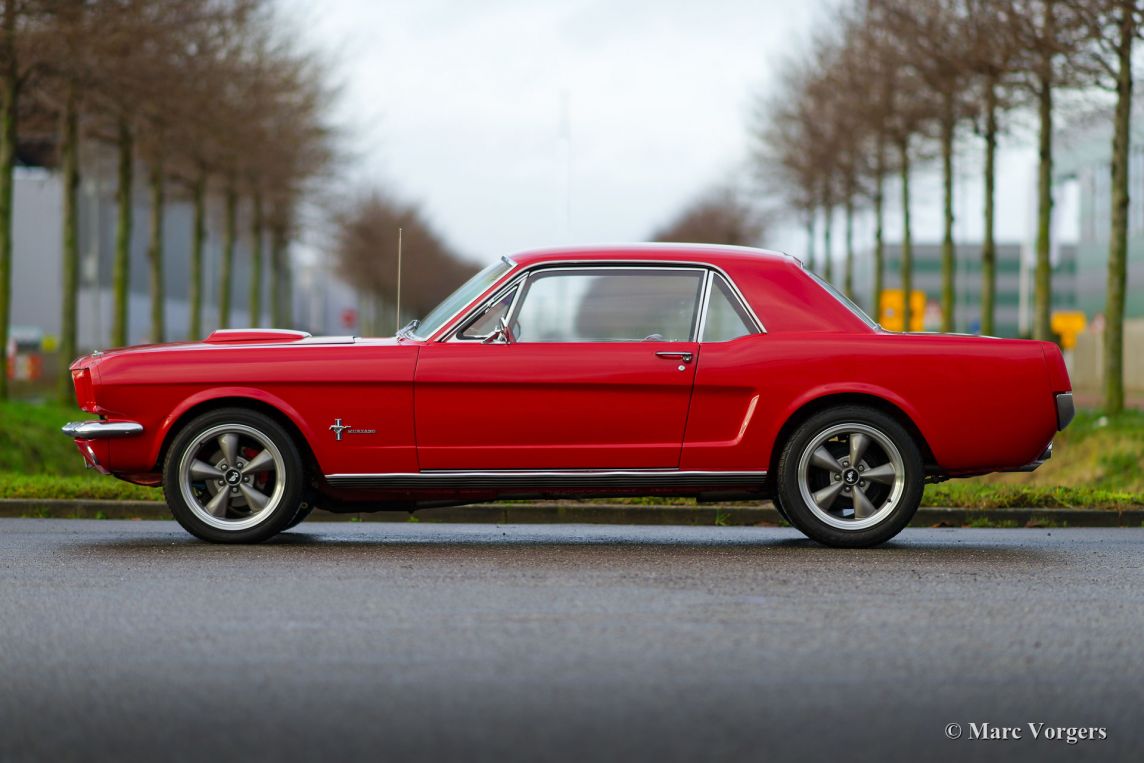 Industriel Outlook Rådne Ford Mustang Coupé, 1966 - Welcome to ClassiCarGarage