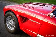 Austin Healey 3000 Mk I, 1960