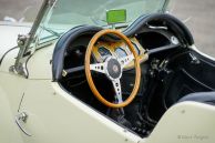 MG TF 1250, 1954