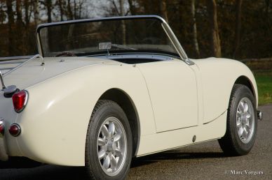 Austin Healey Sprite 'Frog Eye', 1959