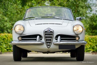 Alfa Romeo Giulia 1600 Spider, 1964
