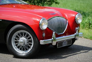 Austin Healey 100/4, 1954