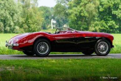 Austin Healey 100/4, 1954