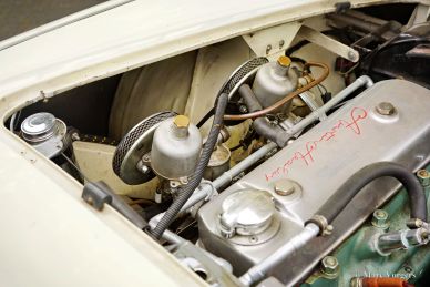 Austin Healey 100/4 BN1, 1955