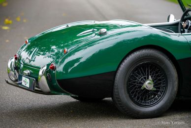 Austin Healey 100/6 BN6 ‘two-seater’, 1958