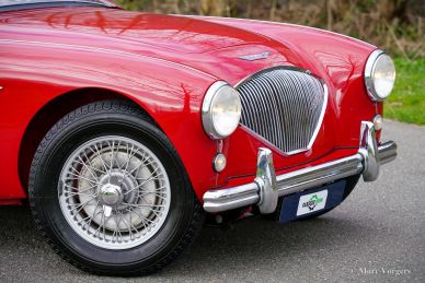 Austin Healey 100/4 BN2, 1956