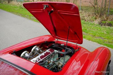Austin Healey 100/4 BN2, 1956