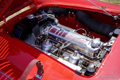 Austin Healey 100/M ‘Le Mans’, 1955