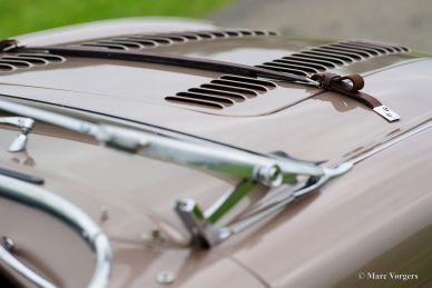 Austin Healey 100/4 BN-2, 1956