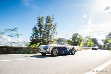 Austin Healey 100/M BN1, 1954 Mille Miglia preparation