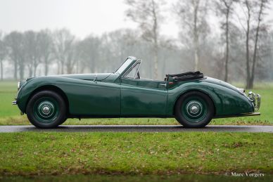 Jaguar XK 120 DHC, 1953