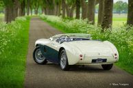 Austin Healey 100/4 BN1, 1953