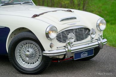 Austin Healey 100/6 BN4, 1957