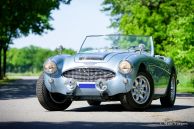 Austin Healey 100/6, 1958