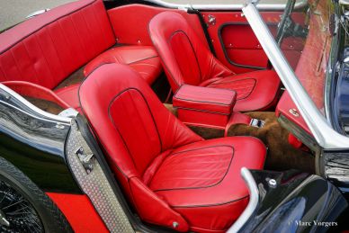 Austin Healey 3000 MK I, 1959