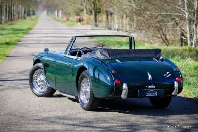 Austin Healey 3000 MK III Phase 2, 1965