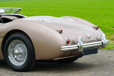 Austin Healey 100/4 BN-2, 1956