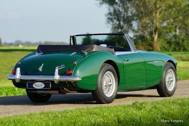 Austin Healey 3000 Mk III, 1965