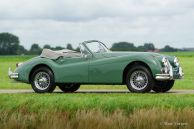 Jaguar XK 140 SE DHC, 1955