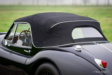 Jaguar XK 140 SE DHC, 1955