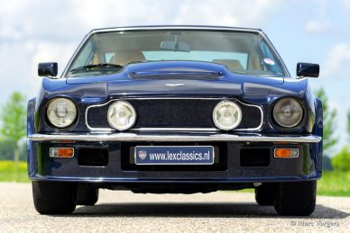Aston Martin V8, 1980