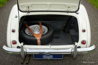 Austin Healey 100/6 BN4, 1957