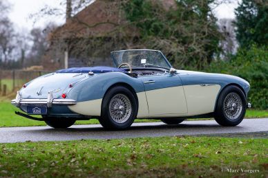 Austin Healey 100/6 BN4, 1957