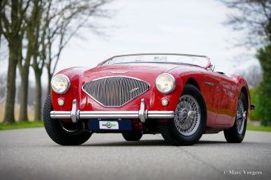 Austin Healey 100/4 BN2, 1956
