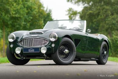 Austin Healey 100/6, 1959