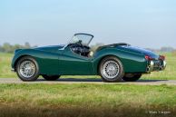 Triumph TR3, 1955