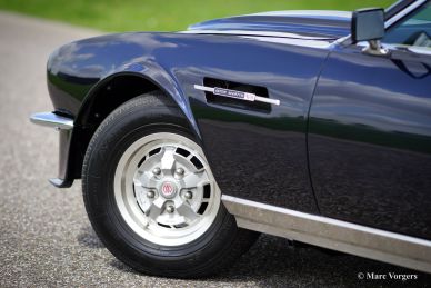 Aston Martin V8, 1980