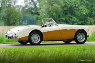 Austin Healey 100/4 BN1, 1955