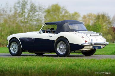 Austin Healey 100/6 BN4, 1957