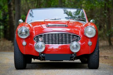 Austin Healey 100-SIX, 1959
