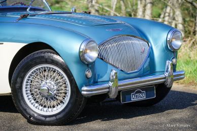 Austin Healey 100/4 BN2 ‘Le Mans’, 1956