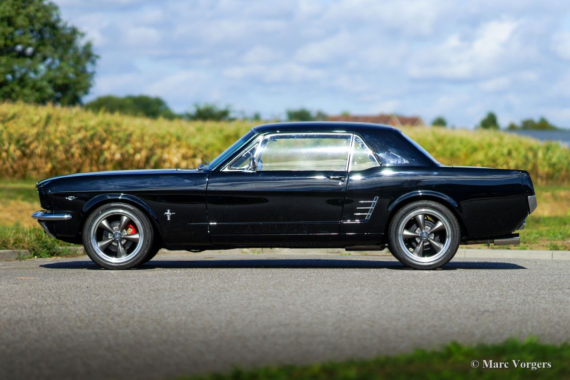 onthouden kroeg Markeer Ford Mustang V8 Coupe, 1966 - Welcome to ClassiCarGarage