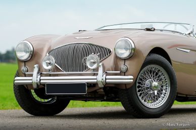 Austin Healey 100/4 BN-2, 1956