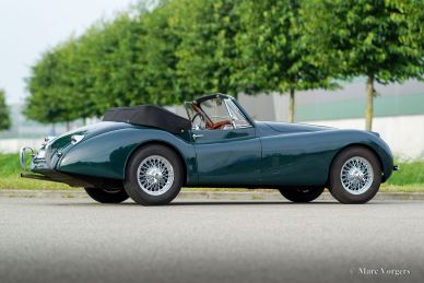 Jaguar XK 120 DHC, 1954